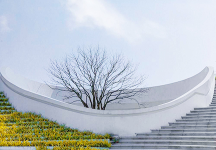 墙面为什么会发霉？如何解决