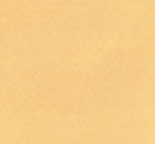 8101